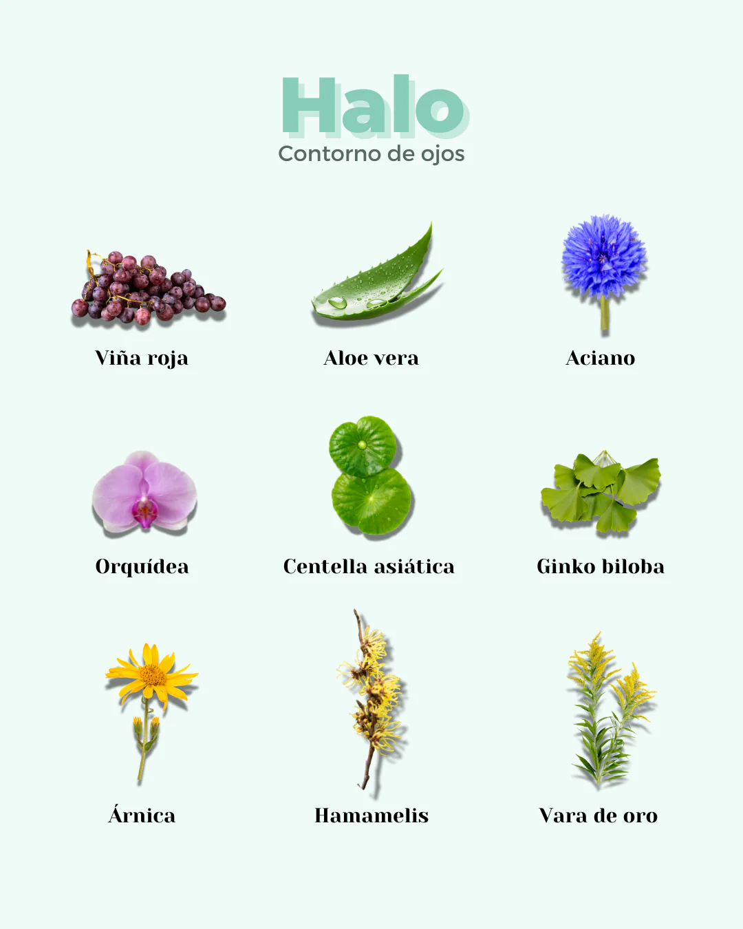 Imagen del producto 6